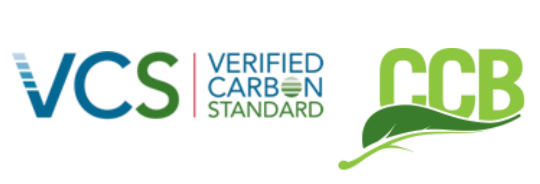 VCS CCB Logo